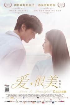 Love Is Beautiful (2013) afişi