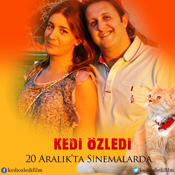 Kedi Özledi Fotoğrafı