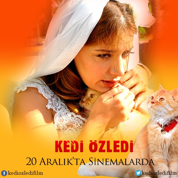 Kedi Özledi Fotoğrafı