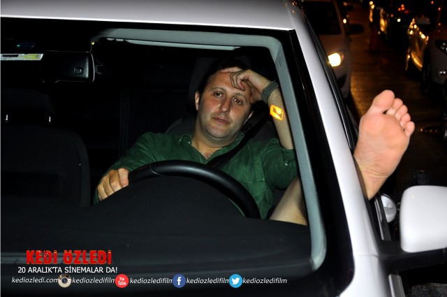 Kedi Özledi Fotoğrafı