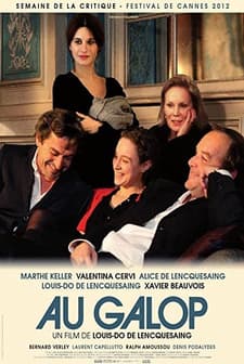 An Meselesi (2012) afişi