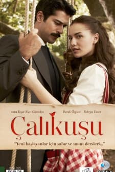 Çalıkuşu (2013) afişi
