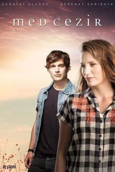 Medcezir (2013) afişi
