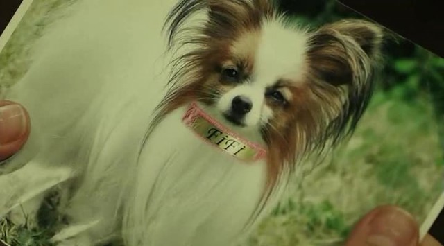 Sağ Salim 2: Sil Baştan Fotoğrafı