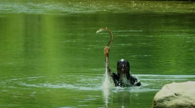 Sağ Salim 2: Sil Baştan Fotoğrafı