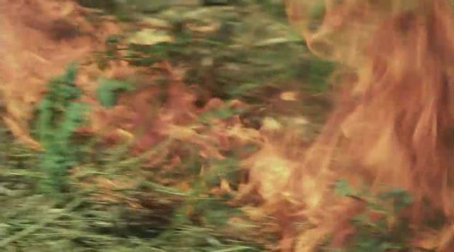 Sağ Salim 2: Sil Baştan fotoğrafı