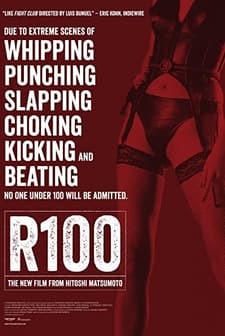 R100 (2013) afişi