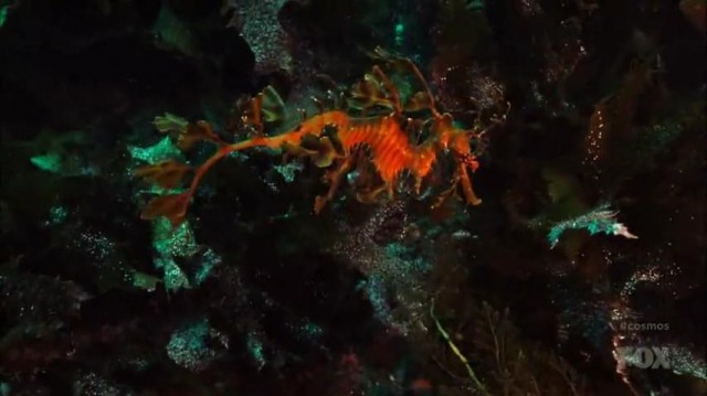 Cosmos: Bir Uzay Serüveni Fotoğrafı