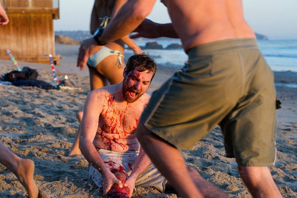 Köpekbalığı İstilası Fotoğrafı