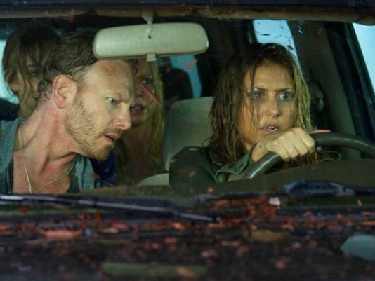 Köpekbalığı İstilası fotoğrafı