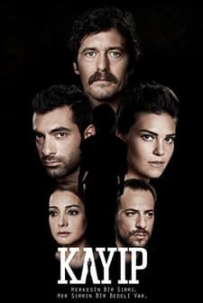 Kayıp (2013) afişi