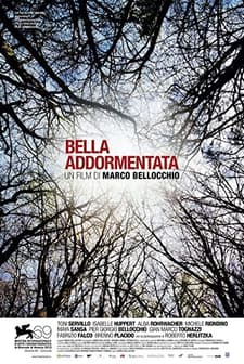 Uyuyan Güzel (2012) afişi