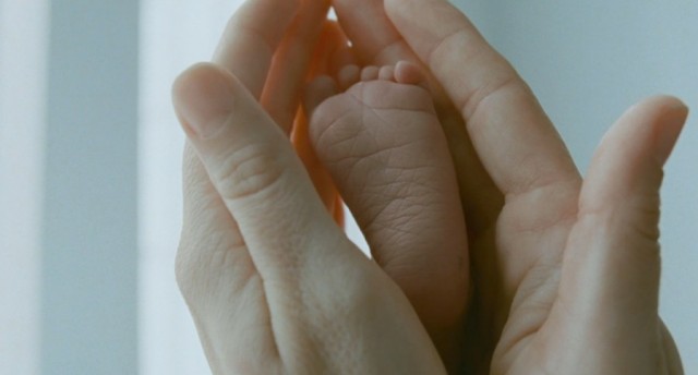 Hayat Ağacı Fotoğrafı