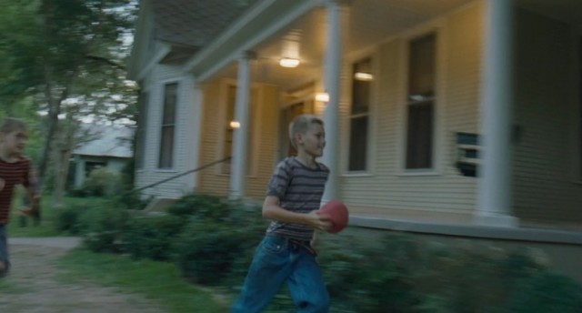 Hayat Ağacı Fotoğrafı