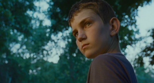 Hayat Ağacı Fotoğrafı