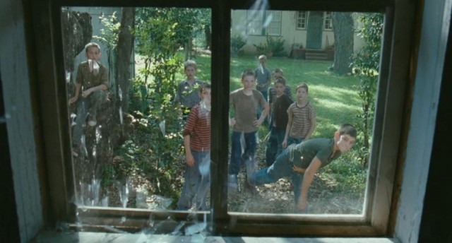 Hayat Ağacı Fotoğrafı