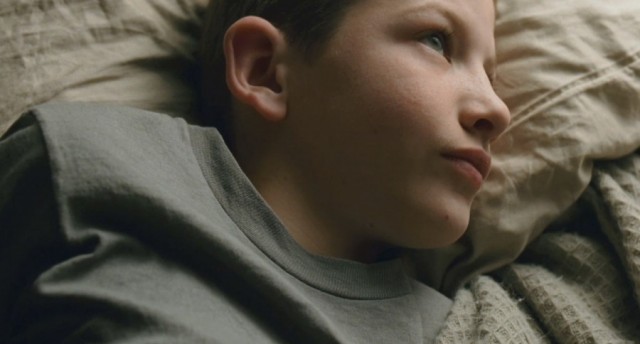 Hayat Ağacı Fotoğrafı