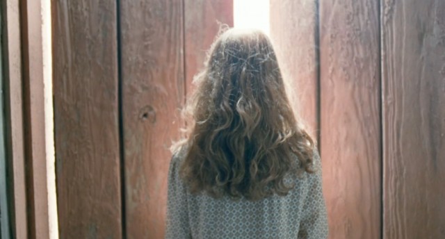 Hayat Ağacı Fotoğrafı