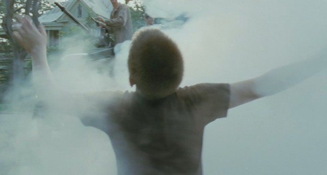 Hayat Ağacı Fotoğrafı