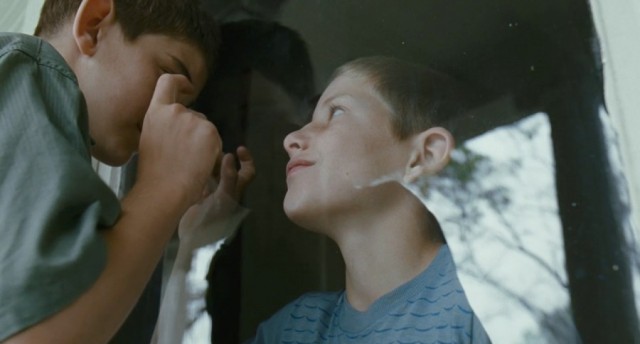 Hayat Ağacı Fotoğrafı