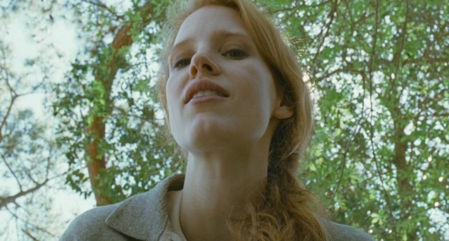 Hayat Ağacı Fotoğrafı