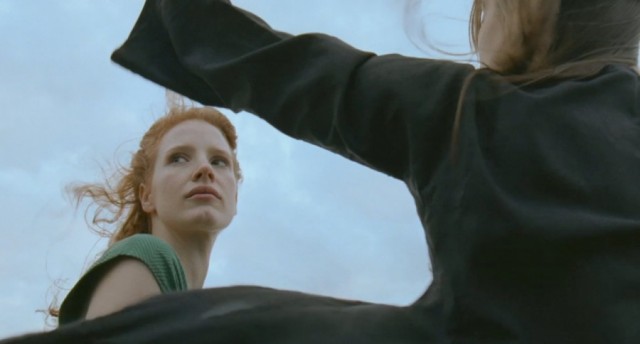 Hayat Ağacı Fotoğrafı