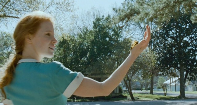 Hayat Ağacı Fotoğrafı