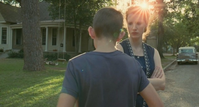 Hayat Ağacı Fotoğrafı