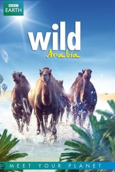 Wild Arabia (2013) afişi