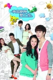 Love Validation (2012) afişi