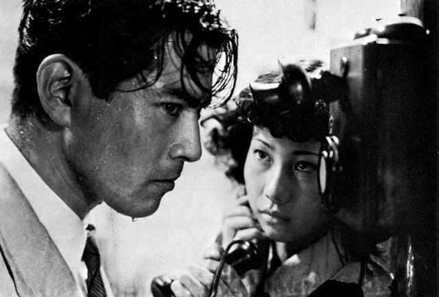 Nora inu fotoğrafı