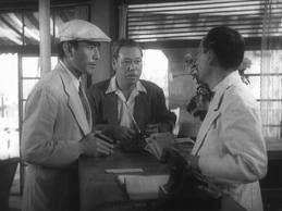 Nora inu fotoğrafı