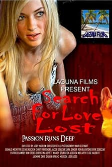Search for Love Lost (2011) afişi