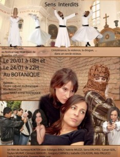 Yasak Hisler (2008) afişi