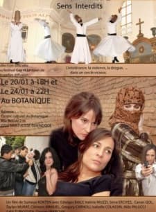 Yasak Hisler (2008) afişi