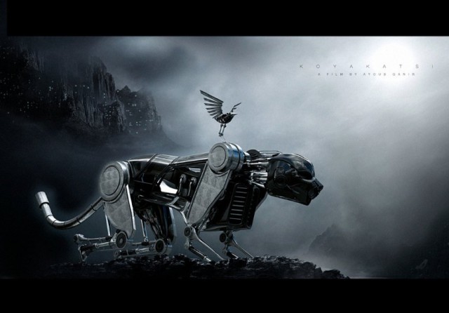 Koyakatsi Fotoğrafı