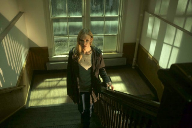 Kabustan Gelen Fotoğrafı