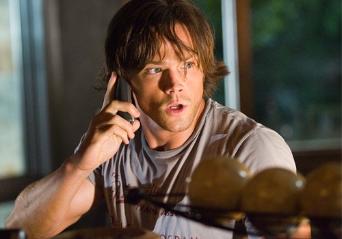 13. Gün Fotoğrafı