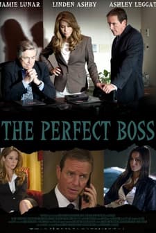 The Perfect Boss (2013) afişi