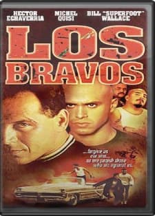 The Falkland Man (2001) afişi