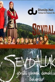 Sevdaluk Sezon 1 (2013) afişi