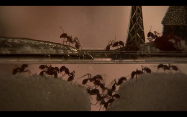 Kainatın Sırları Fotoğrafı