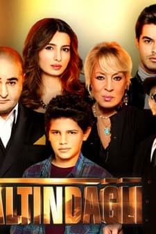 Altındağlı (2013) afişi