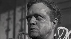 Gönüllü Katil Fotoğrafı