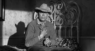 Gönüllü Katil Fotoğrafı