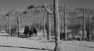 Gönüllü Katil Fotoğrafı