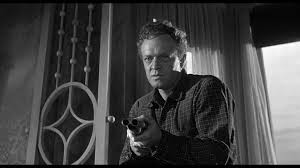 Gönüllü Katil Fotoğrafı