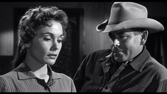 Gönüllü Katil Fotoğrafı