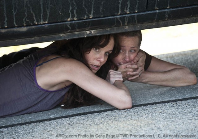 The Walking Dead Fotoğrafı