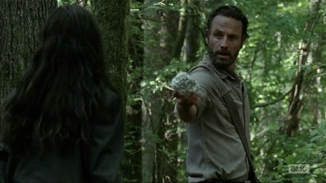 The Walking Dead Fotoğrafı